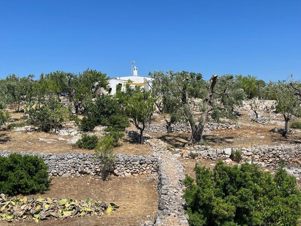 Casa Giuliveto - Charmantes Ferienhaus Mit Privatpool In Olivenhain Ostuni Exterior photo