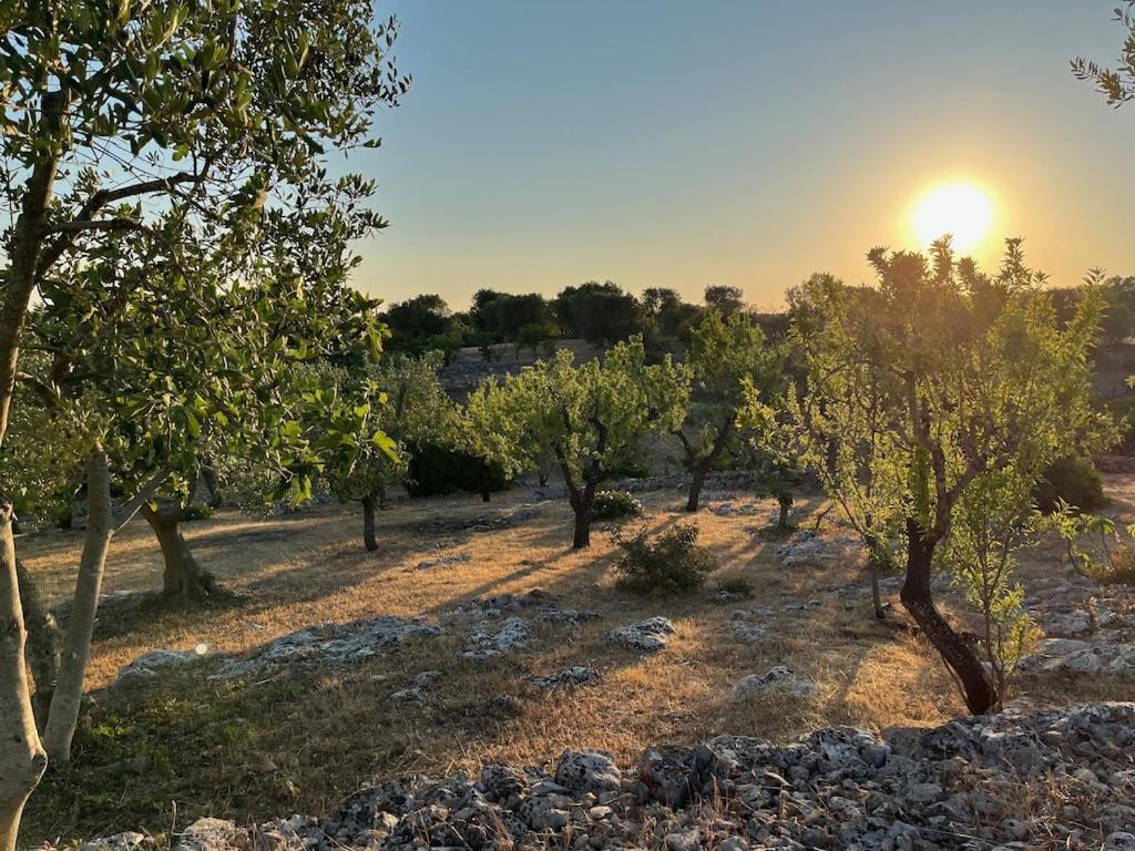 Casa Giuliveto - Charmantes Ferienhaus Mit Privatpool In Olivenhain Ostuni Exterior photo