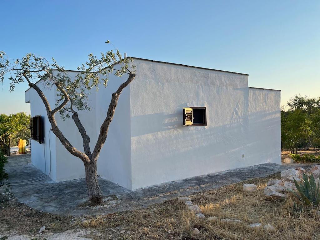 Casa Giuliveto - Charmantes Ferienhaus Mit Privatpool In Olivenhain Ostuni Exterior photo