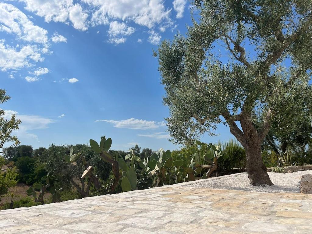 Casa Giuliveto - Charmantes Ferienhaus Mit Privatpool In Olivenhain Ostuni Exterior photo